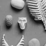 Нейробиология азарта и работа мозга во время игры Sugar Rush