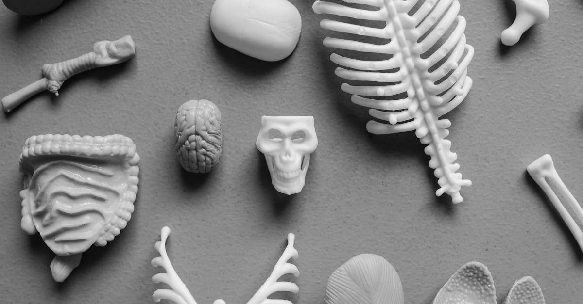 Нейробиология азарта и работа мозга во время игры Sugar Rush